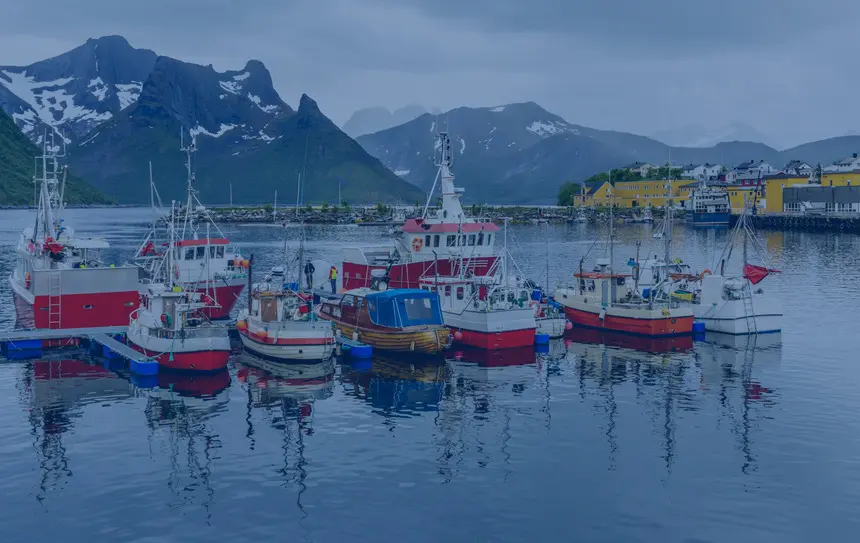 flota pesquera bacalaos gaytan